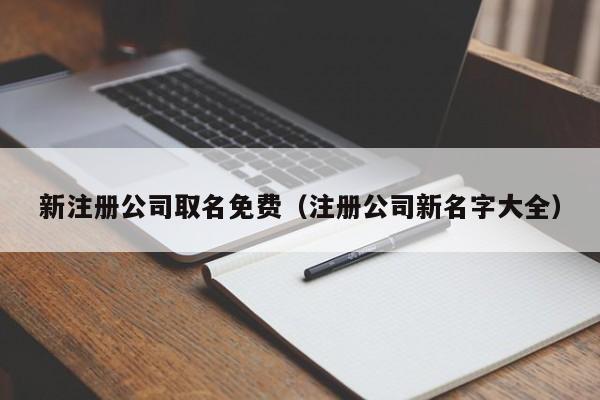 新注册公司取名免费（注册公司新名字大全）