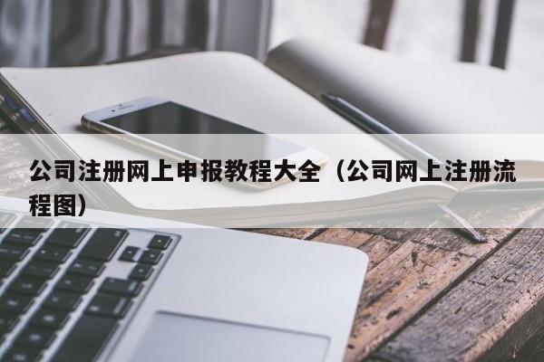 公司注册网上申报教程大全（公司网上注册流程图）