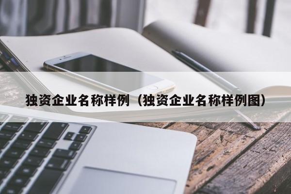 独资企业名称样例（独资企业名称样例图）