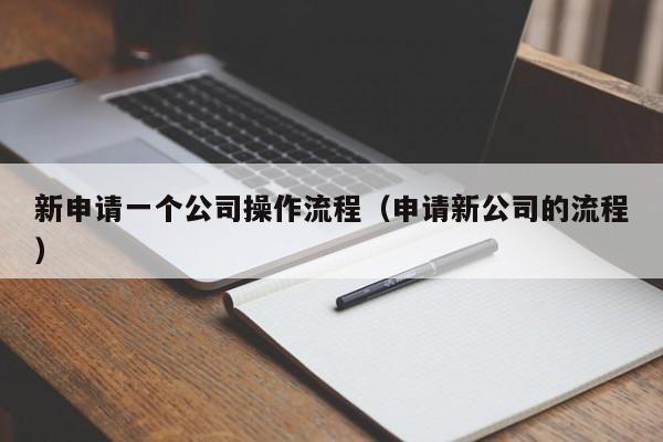 新申请一个公司操作流程（申请新公司的流程）