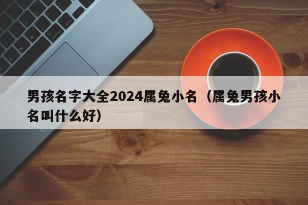 男孩名字大全2024属兔小名（属兔男孩小名叫什么好）